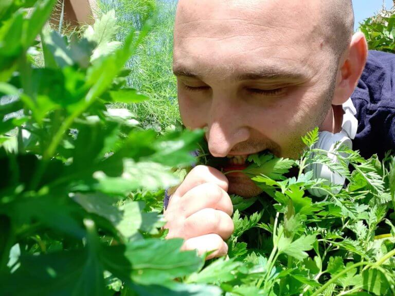 תזונה עונתית, חיבור לטבע, תזונה מקומית